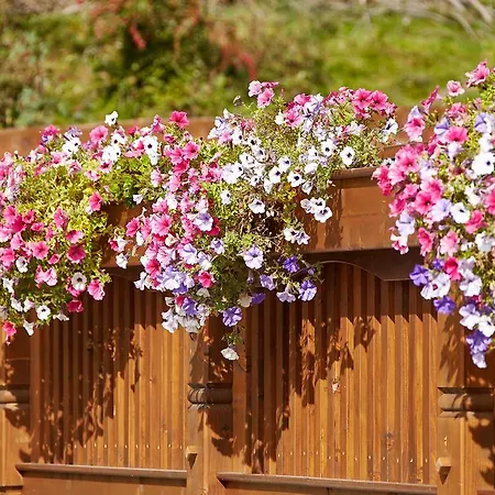 Apartament Gaestehaus Bergkristall *